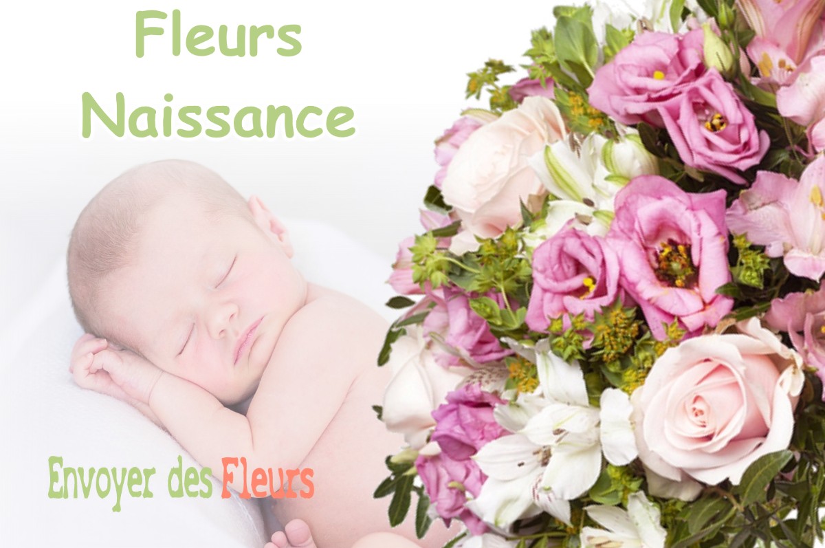 lIVRAISON FLEURS NAISSANCE à MONTEREAU